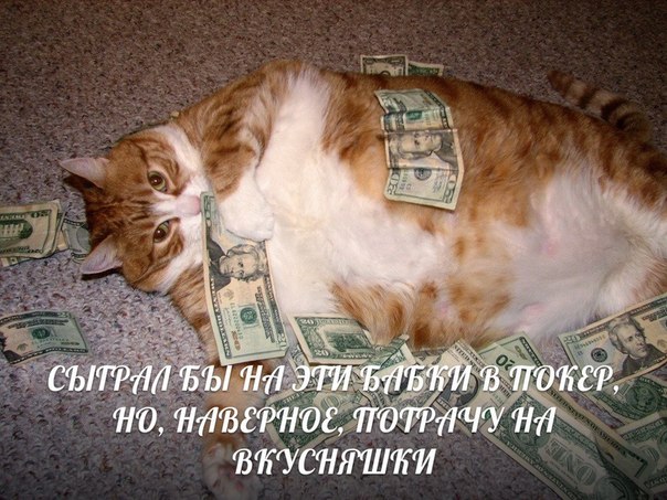 покер прикольные картинки demotivatori-poker20