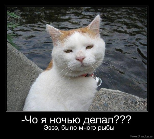 Демотиваторы покер демотиваторы покер
