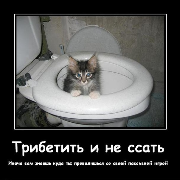 Мемы покер memi-poker15