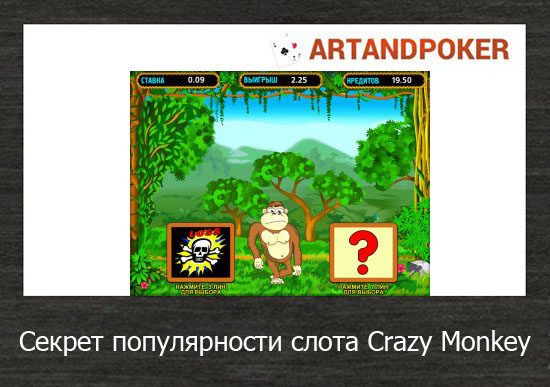 Секрет популярности слота Crazy Monkey