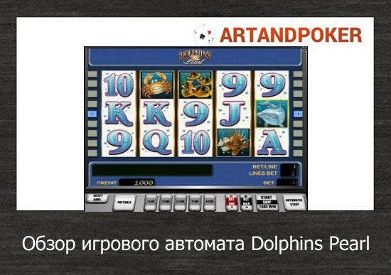 Обзор игрового автомата Dolphins Pearl